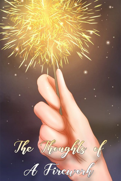 The Thoughts of A Firework