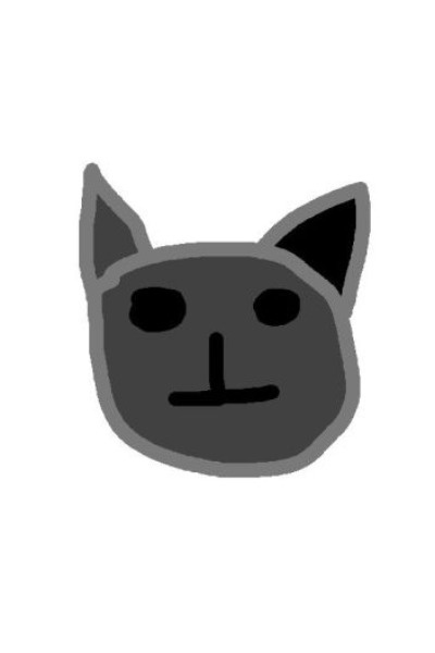 White cat introduction