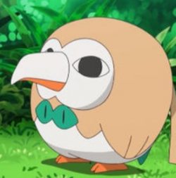 On a Roll [ONESHOT]