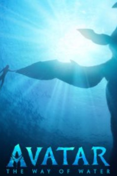 Avatar harem x male reader