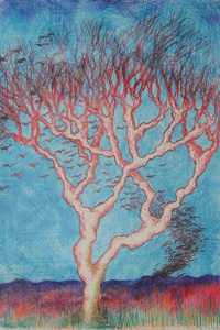 The Boy Sat Under The Tree