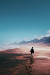 Traveller