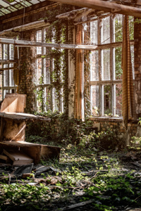 The Desolation That Followed