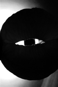 Of Gods and Dungeons