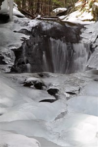 Sovereign of the Eight Realms