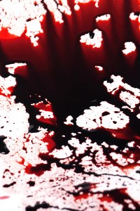 Creating My Own Path