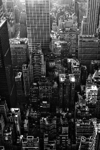 Citizen Rat and Other Stories