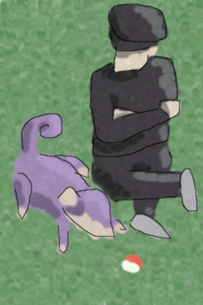 Within Our Nation - A Team Rocket Story