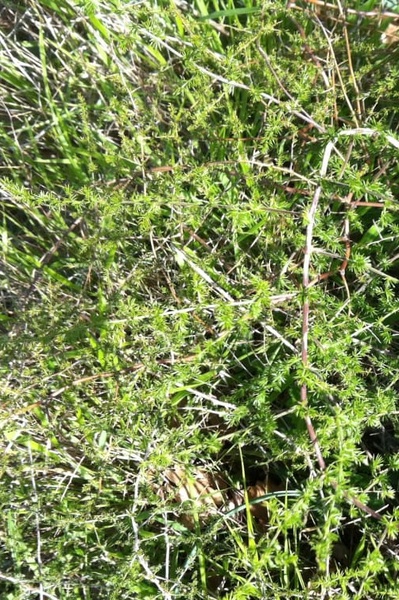 Adventuring Beyond Bliss