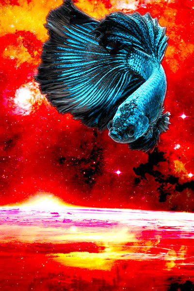 Once Again into the World of Cultivation